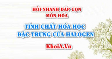 Tính chất hóa học đặc trưng của Halogen (các đơn chất halogen) là gì? Hỏi nhanh đáp gọn môn Hóa